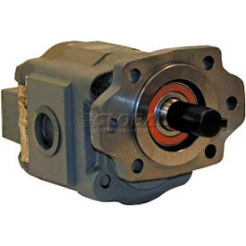 Buyers H50 Series Hydraulic Pump H5036173 2/4 Bolt 2500 Max Pressure 1