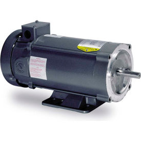 Example of GoVets General Purpose Electric Motors category