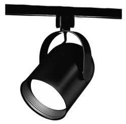 Example of GoVets Track Lighting category