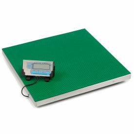 Brecknell PS500 Series Low Profile Digital Floor Scale 500 lb x 0.2 lb 22