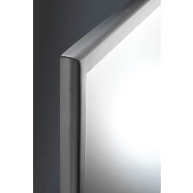 ASI® Roval™ Inter-Lok Stainless Steel Framed Mirror Tempered Glass 18 x 30 10-20650-B1830