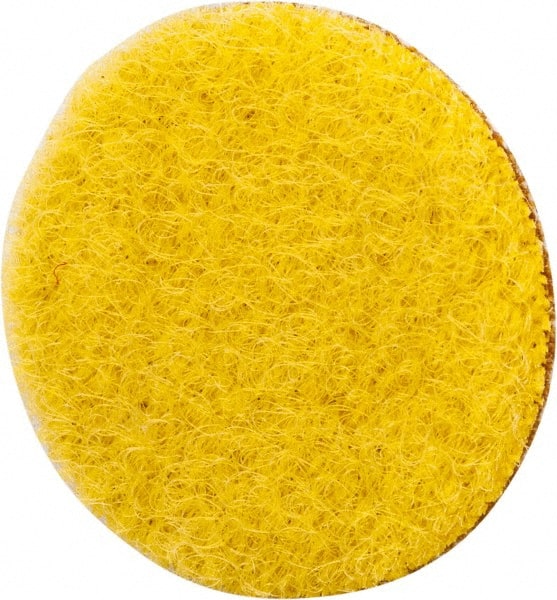 Hook & Loop Disc: 1