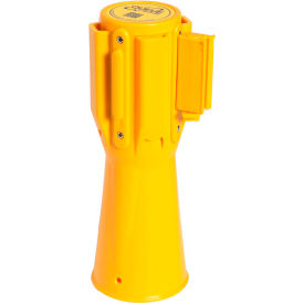 Example of GoVets Cones category