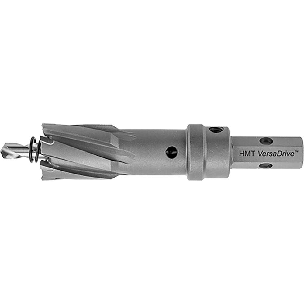 Example of GoVets Holemaker Technology category