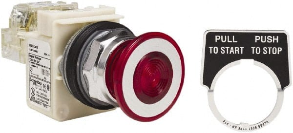 Push-Button Switch: 30 mm Mounting Hole Dia, Maintained (MA) MPN:9001KR9P38RH13