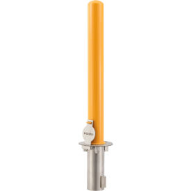 GoVets™ Removable Bollard W/Flush Mount Sleeve 6