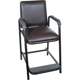 Example of GoVets Exam and Treatment Chairs category