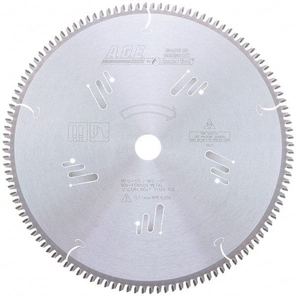 Wet & Dry Cut Saw Blade: 12