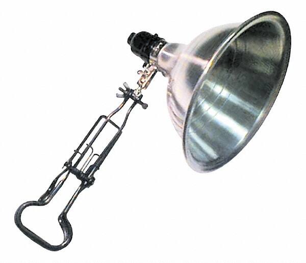 Task Light: Incandescent, 10