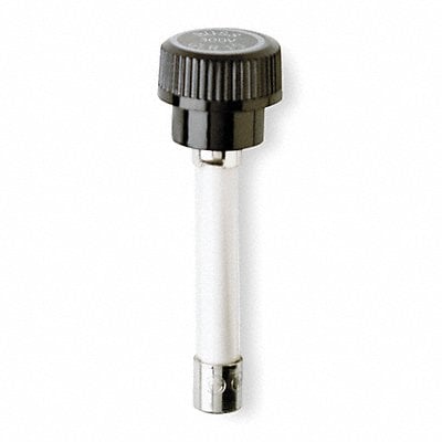 Example of GoVets Fuses category