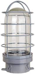 120 Volt, 200 Watt, Incandescent Hazardous Location Light Fixture MPN:TP7820