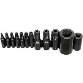 Torx Bit Set 1/4