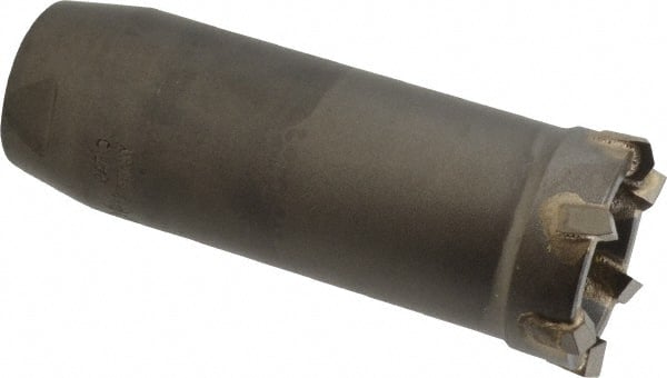 Example of GoVets Core Bits category
