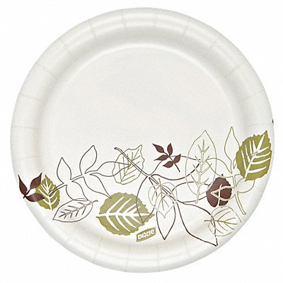 Example of GoVets Disposable Plates category