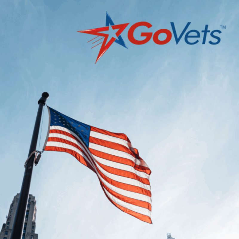 Example of GoVets First Aid Medical and Hydration category