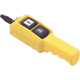 Example of GoVets Pendant Control Stations category