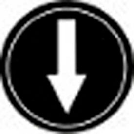 T.E.R. PRTA006MPI Single Arrow Black Button Insert Use w/ MIKE & VICTOR Pendants PRTA006MPI