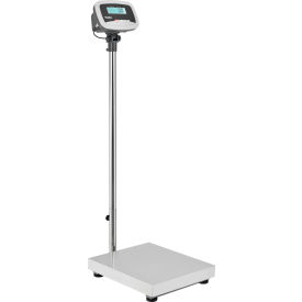 GoVets™ Industrial Bench & Floor Scale With LCD Indicator 660 lb x 0.25 lb 242244