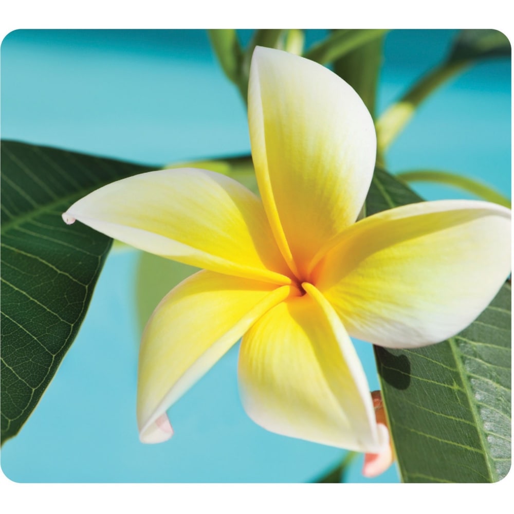 Fellowes Recycled Optical Mouse Pad - Yellow Flower - Yellow Flower - 8in x 9in x 0.06in Dimension - Multicolor - Rubber - Skid Proof - 1 Pack (Min Order Qty 6) MPN:5913801