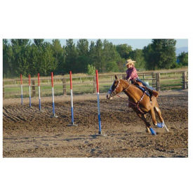 Example of GoVets Horse Arena Equipment category