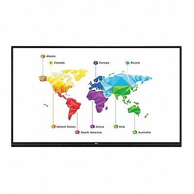Example of GoVets Interactive Display Monitors and Systems category