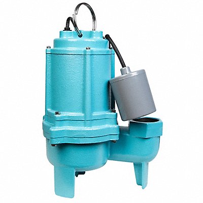 Example of GoVets Sewage Ejector Pumps category