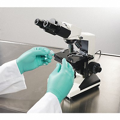 Disposable Gloves Neoprene M PK100 MPN:NPG-888-M