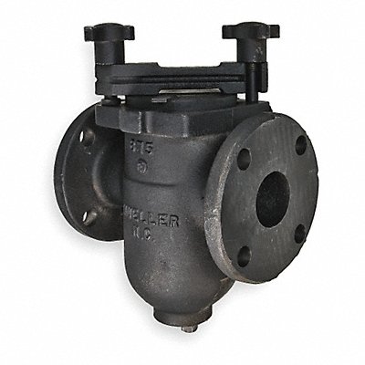 Basket Strainer 10 5/8 H 200 psi MPN:2-1/2 97FIB 155M-N Iron body flanged