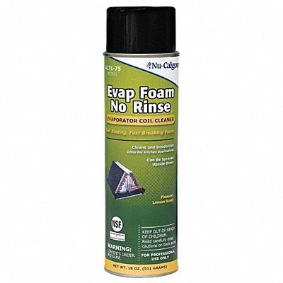 Evaporator Cleaner Aerosol 18 fl oz MPN:4171-75
