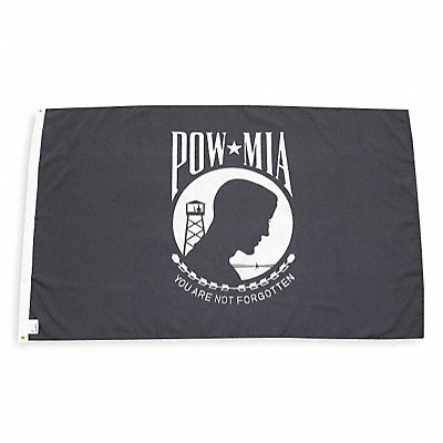Example of GoVets Flags Flag Poles and Accessories category