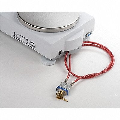 Example of GoVets Scale Security Devices category