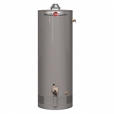 Example of GoVets Gas Tank Water Heaters category