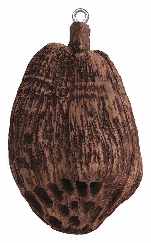 Speaker Brown 75 Max Wattage MPN:COCONUTZ