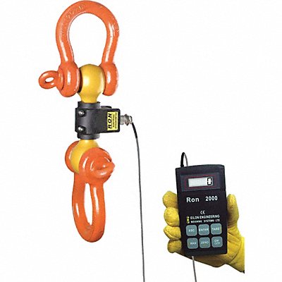 Example of GoVets Crane Scales and Dynamometers category