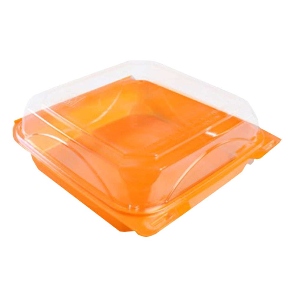 Clamshell Containers, 6in x 8in Large, Clear, Carton Of 250 MPN:COX68BBTG